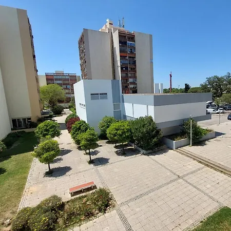 Loule Turtle By Sapvillas * Vilamoura