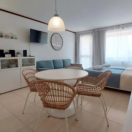 Loule Turtle By Sapvillas Vilamoura