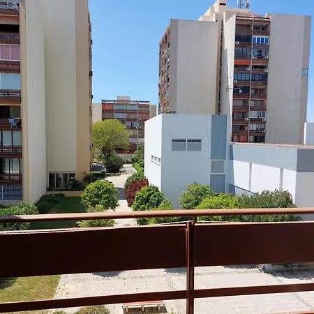 Loule Turtle By Sapvillas